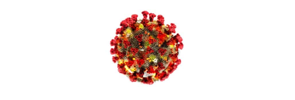 Corona Virus Info Banner